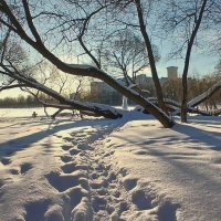 Петергоф. Ольгин пруд :: Наталья Герасимова