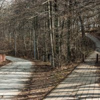 Начало прогулки в Горе Физиабго :: Игорь Сикорский