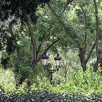 Барселона. :: Владимир Драгунский