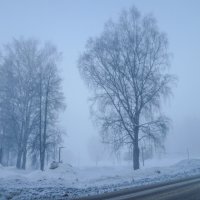 «А вокруг благодать — ни черта не видать!» :: Михаил "Skipper"