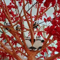 Им сверху видно все :: ИРЭН@ .