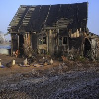 Утро. Туман. Архитектура  21 века :: Владимир Гришин