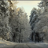 Зимняя дорога :: Aleksandr Gal