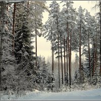 *** :: Aleksandr Gal