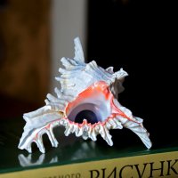 **** :: Андрей Л. В.