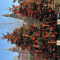 Уходящая зима 2026 :: Натали 