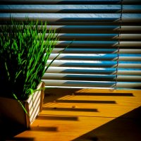 * :: Сергей Полянский