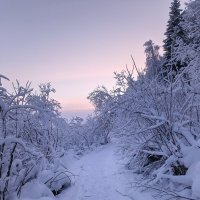 Дорожка в морозный закат :: Ольга Чистякова
