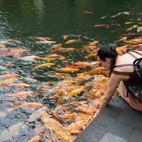 Кормление рыб 2 :: Андрей Город