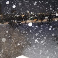 Снег :: Анатолий Чикчирный