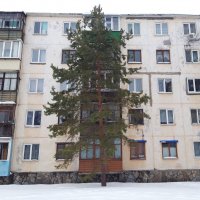 Мой двор :: Венера Чуйкова Мой двор :: Венера Чуйкова