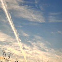 Скоро весна!) :: Андрей 