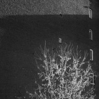 * :: Светлана Воробьева