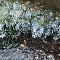 Льдинки :: Мария - Maria