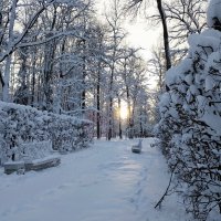 .. и снегу намело :: tipchik 