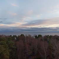 Рассвет занялся. :: Лилия *