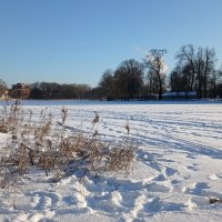 Петергоф. Ольгин пруд :: Наталья Герасимова Петергоф. Ольгин пруд :: Наталья Герасимова