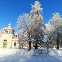 Изморозь :: Сапсан 