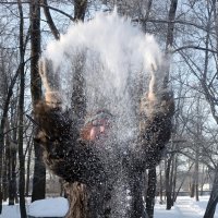 Зимние забавы :: Игорь Корф