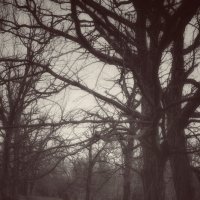 Тревожное очарование забытых мест :: Сергей В