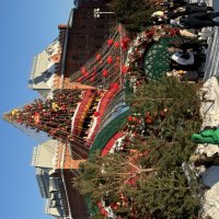 Красивый день :: Натали 