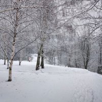 В зимнем парке так бело, так бело ... :: Ravile 