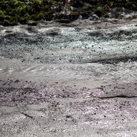 Бегут ручьи :: Юрий Гайворонскiий