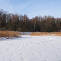 Озёра Смоленщины :: Милешкин Владимир Алексеевич 