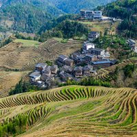 Террасные рисовые поля :: Георгий А