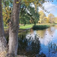 Самара. Воронежские озера осенью :: Надежда 