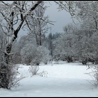 *** :: Aleksandr Gal