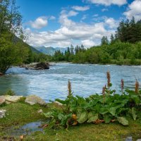 ... :: Михаил Вишняков ... :: Михаил Вишняков