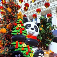 Китайский новый год :: Наталья 