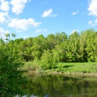 Донские виды. :: Виктор 