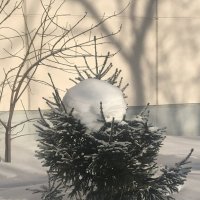 "...такого снегопада давно не помнят здешние места..." :: zavitok *