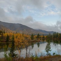 Облачным утром............ :: Юрий Цыплятников