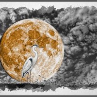 Fentasi ... :: Jakob Dick Fentasi ... :: Jakob Dick