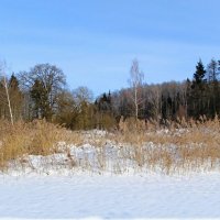 Зимний пейзаж. :: Милешкин Владимир Алексеевич Зимний пейзаж. :: Милешкин Владимир Алексеевич