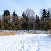 Зима в феврале :: Милешкин Владимир Алексеевич 