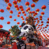 Китайский новый год на Манежной площади :: Ольга 