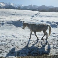 Талгар. :: Murat Bukaev 