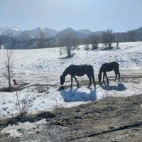 Ак Булак.  Талгар. :: Murat Bukaev 