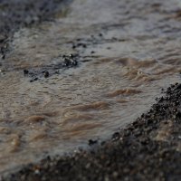 Текут ручьи... :: Юрий Гайворонскiий