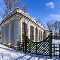 Зимнее утро в Летнем саду :: Евгений 