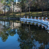 Лебединое озеро :: **** vedin Лебединое озеро :: **** vedin