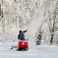 Зимняя сказка в Роще Декабристов. Ялуторовск. :: Михаил Курзанцев