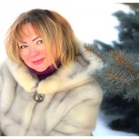 Теплый зимний день. :: Михаил Курзанцев