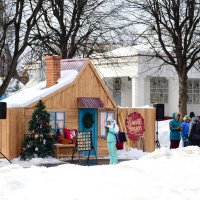 Вместе теплее. :: Наталья Вязигина