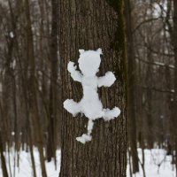 Не в писался. Очень густой лес. :: Наталья Вязигина