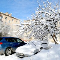 вот так зимушка!!! :: Ольга 